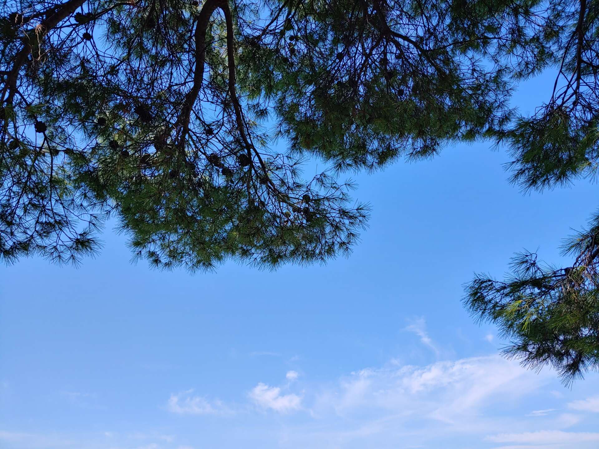 20210907 114814 HDR